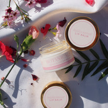 Load image into Gallery viewer, Holiday Harvest Lip Balm - Growing Fond
