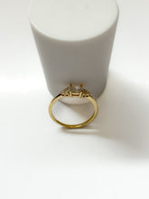 Load image into Gallery viewer, Paris Ring - Growing Fond